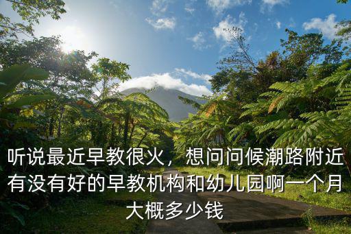 早教蚌埠一個月多少錢,一個月大概多少錢