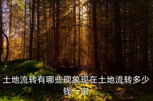 安徽土地流轉(zhuǎn)費(fèi)多少錢一畝,農(nóng)村土地流轉(zhuǎn)一畝多少錢劃算