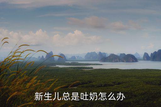 新生兒總是吐奶怎么辦