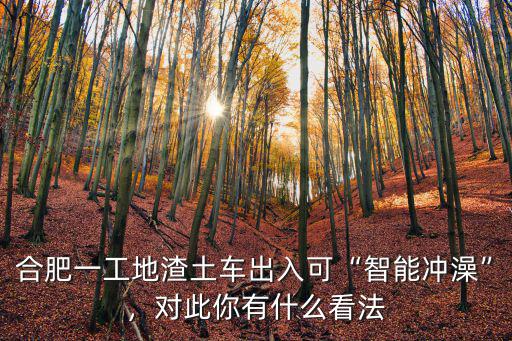 合肥渣土車(chē)一車(chē)?yán)嗌俜?能不能買(mǎi)輛渣土車(chē)干