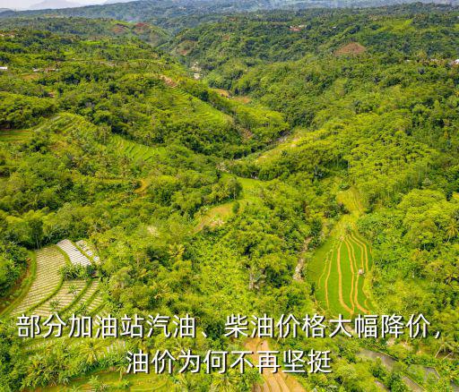 河南新野加油站柴油價是多少,部分加油站汽油