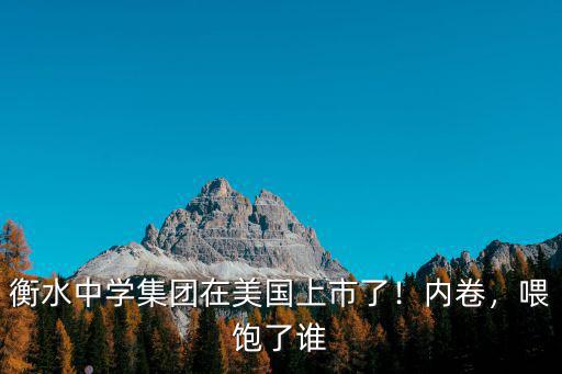 衡水中學集團在美國上市了！內卷，喂飽了誰