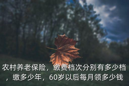 農村養老保險，繳費檔次分別有多少檔，繳多少年，60歲以后每月領多少錢