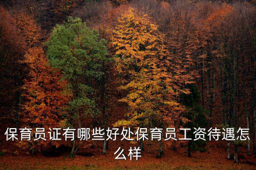 保育員證有哪些好處保育員工資待遇怎么樣