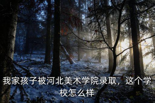 河北美術(shù)學(xué)院書法考多少分,河北美術(shù)聯(lián)考249分