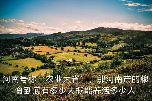 河南號稱“農業大省”，那河南產的糧食到底有多少大概能養活多少人
