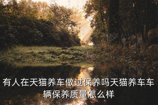 有人在天貓養(yǎng)車做過保養(yǎng)嗎天貓養(yǎng)車車輛保養(yǎng)質(zhì)量怎么樣