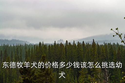 東德牧羊犬的價格多少錢該怎么挑選幼犬
