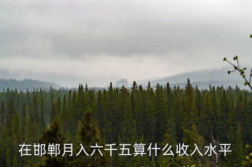 在邯鄲月入六千五算什么收入水平