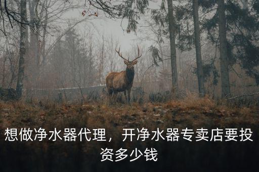 想做凈水器代理，開凈水器專賣店要投資多少錢