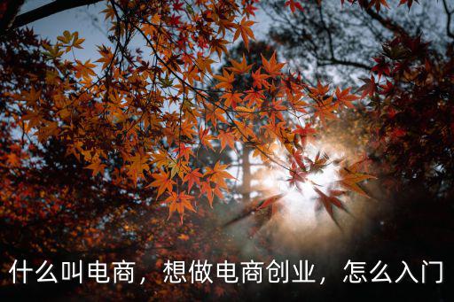 什么叫電商，想做電商創業，怎么入門