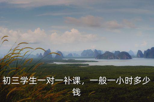 初三學(xué)生一對(duì)一補(bǔ)課，一般一小時(shí)多少錢