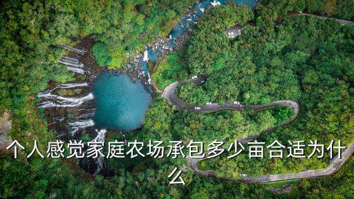 個(gè)人感覺(jué)家庭農(nóng)場(chǎng)承包多少畝合適為什么