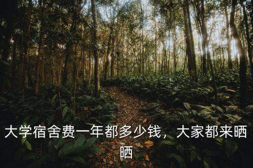 安徽財(cái)經(jīng)大學(xué)宿舍一年多少錢,大學(xué)宿舍費(fèi)一年都多少錢
