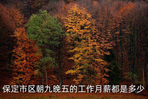 保定人工資多少,保定平均工資是多少錢(qián)