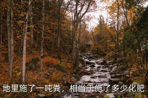 一袋復合肥相當于多少羊糞,相當于施了多少化肥