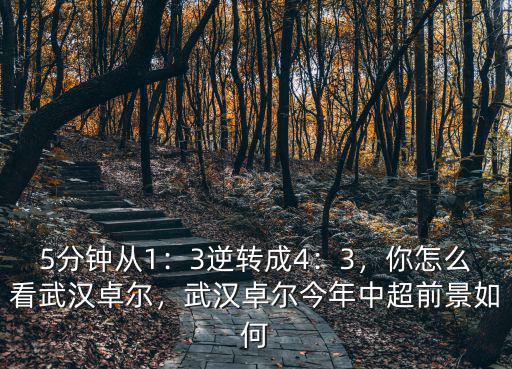 5分鐘從1：3逆轉成4：3，你怎么看武漢卓爾，武漢卓爾今年中超前景如何