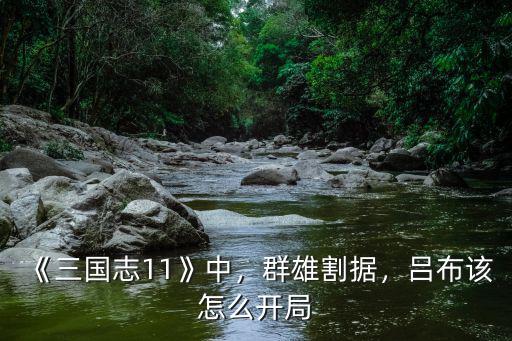 三國志11 襄陽怎么打,《三國志11》中
