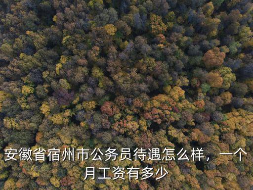 宿州公交公司多少錢一個月,司機一個月工資多少錢