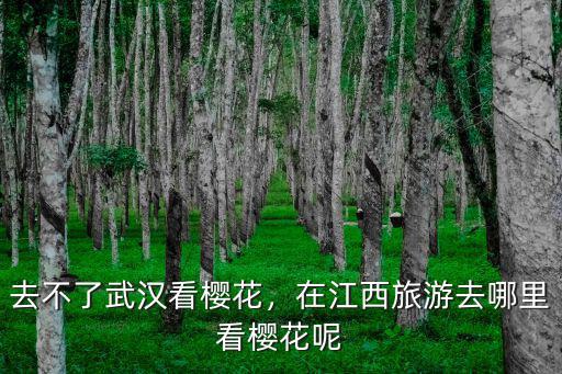 去不了武漢看櫻花，在江西旅游去哪里看櫻花呢