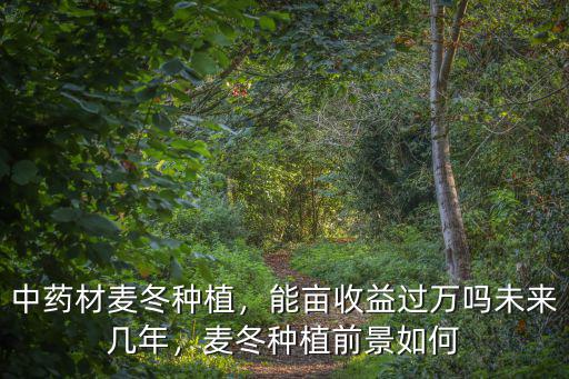 湖北麥冬怎么樣,今年麥冬的行情怎么樣