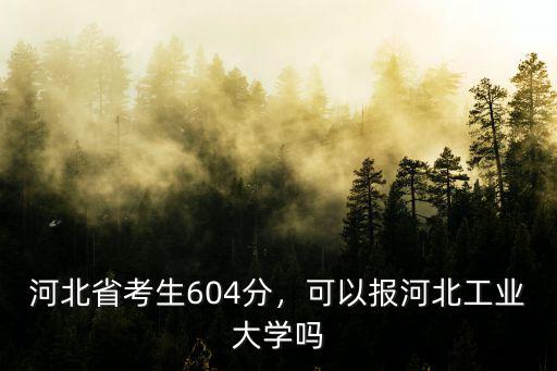 河北省考生604分，可以報河北工業大學嗎