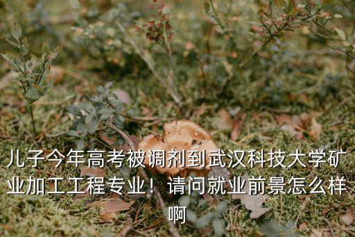 武漢礦業大學怎么樣,礦業大學的測繪專業怎么樣
