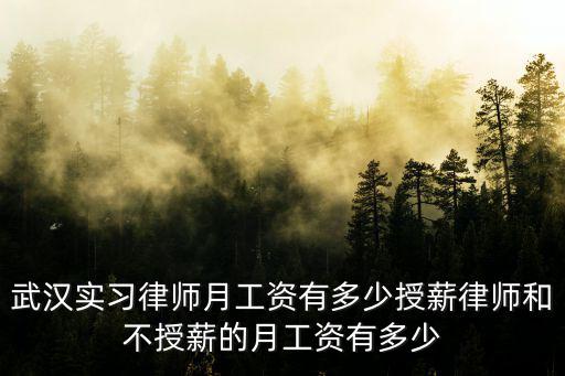 武漢實習律師月工資有多少授薪律師和不授薪的月工資有多少