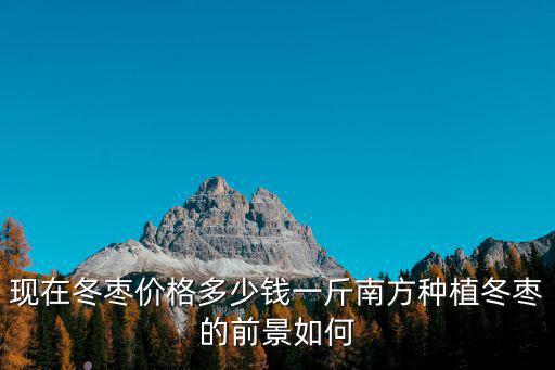 鄭州冬棗多少錢一斤,現(xiàn)在冬棗價(jià)格多少錢一斤