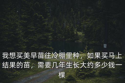 河北美早櫻桃苗多少錢一棵,大約多少錢一棵