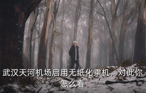 武漢天河機場登機牌怎么看,對此你怎么看