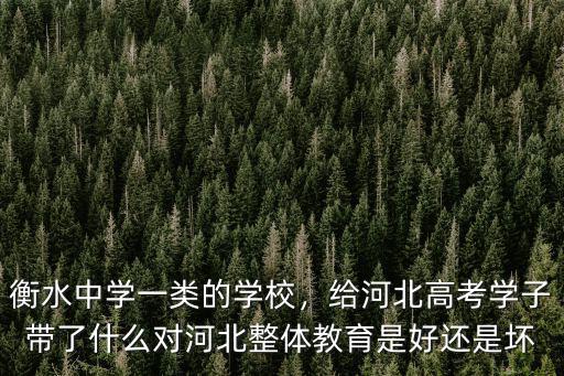衡水中學一類的學校，給河北高考學子帶了什么對河北整體教育是好還是壞