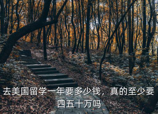 馬鞍山留學機構一年多少錢,去美國留學一年要多少錢