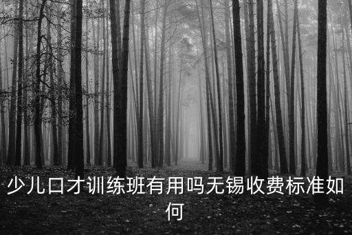 池州少兒口才訓(xùn)練多少錢,少兒口才訓(xùn)練班有用嗎