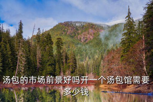 蕪湖湯包加工費多少錢一個,開一個湯包館需要多少錢
