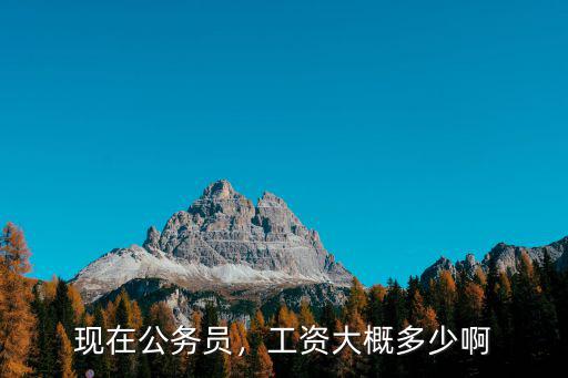 秦皇島盧龍公務員工資多少,公務員的工資到底是多少