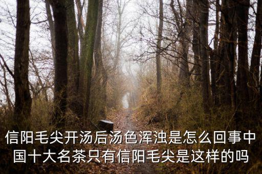 信陽毛尖明前茶怎么泡水,信陽毛尖這樣沖泡才會好喝