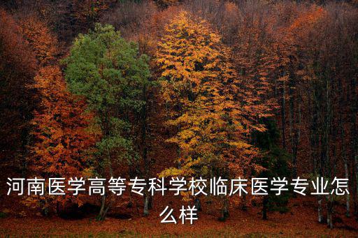 河南醫學高等專科學校臨床醫學專業怎么樣