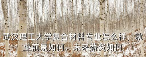 武漢理工大學(xué)復(fù)合材料專業(yè)怎么樣，就業(yè)前景如何，未來薪資如何