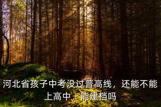 河北百分之多少孩子能上高中,還能不能上高中