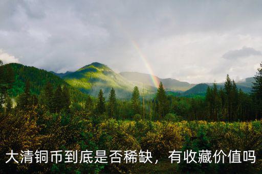 大清銅幣到底是否稀缺，有收藏價值嗎
