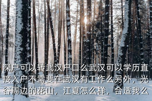 深戶可以轉武漢戶口么武漢可以學歷直接入戶不需要在武漢有工作么另外，光谷周邊的花山，江夏怎么樣，合適我么