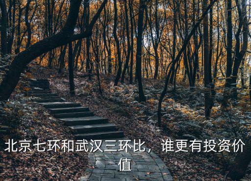 北京大興和武漢武昌怎么選擇,選擇北京還是武漢生活好