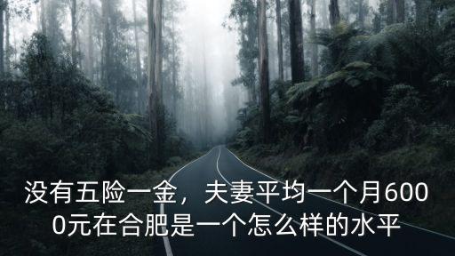 沒有五險一金，夫妻平均一個月6000元在合肥是一個怎么樣的水平