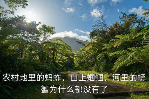 廣安哪里有螃蟹的河流,河里的螃蟹為什么都沒有了