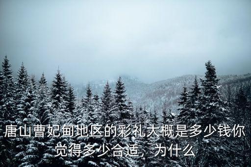 唐山曹妃甸地區的彩禮大概是多少錢你覺得多少合適，為什么