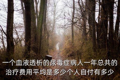一個血液透析的尿毒癥病人一年總共的治療費用平均是多少個人自付有多少