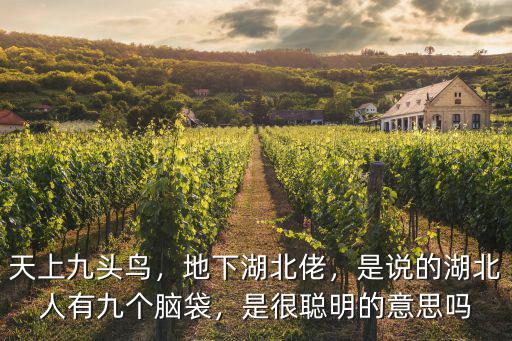天上九頭鳥，地下湖北佬，是說的湖北人有九個腦袋，是很聰明的意思嗎