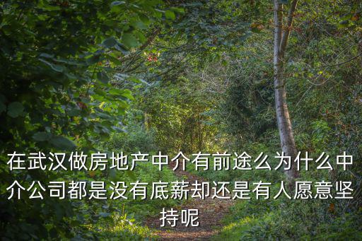 武漢做房產(chǎn)中介怎么樣,在武漢做房地產(chǎn)中介有前途么