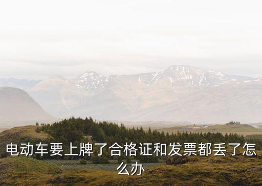電動(dòng)車(chē)要上牌了合格證和發(fā)票都丟了怎么辦